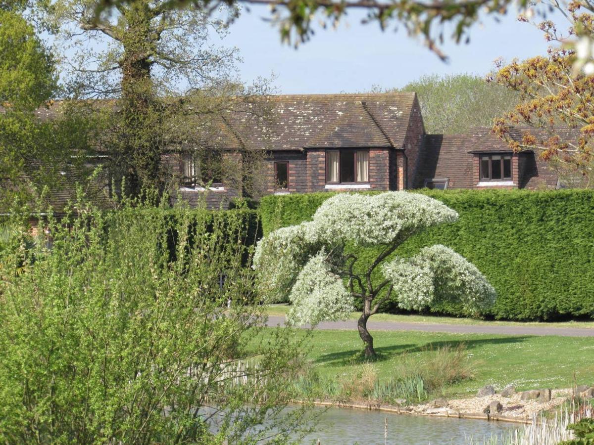 Northlands Farm - Old Farm Cottage 奇切斯特 外观 照片